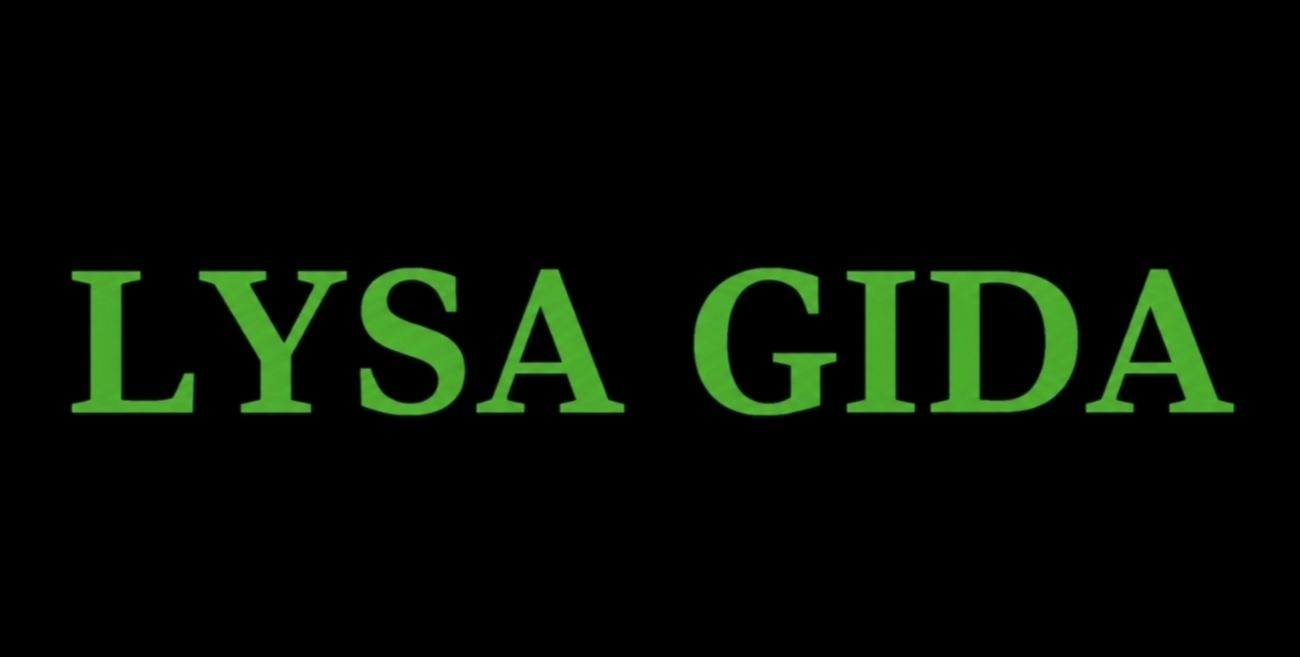 Lysa Gıda Logo